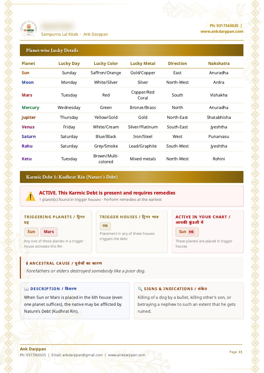 Karmic debt analysis page